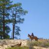 On the half-day trail to Sand Creek.