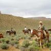 Moving cattle.