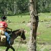 Look closely, and you can see the herd of elk by the trees.