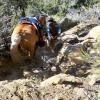 Rugged trails out on the 50-Mile Mountain.